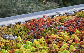 the cost of Winscales green roof installation