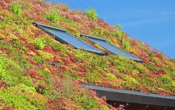 Winscales living roof systems